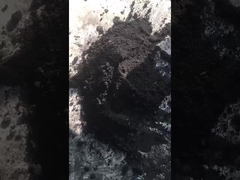 Máquina de fabricação de grânulos de ração de vaca